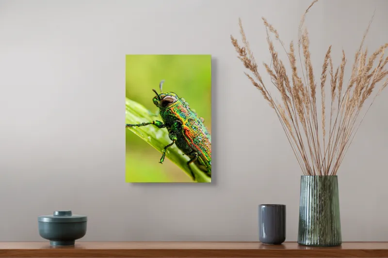 Tablou Canvas, "Gândacul strălucitor pe frunza verde", Picătură, Gândac, Verde, Irizat, Apropiere, Natură, Detaliu, Fascinație, 26 x 39 cm – poza 5