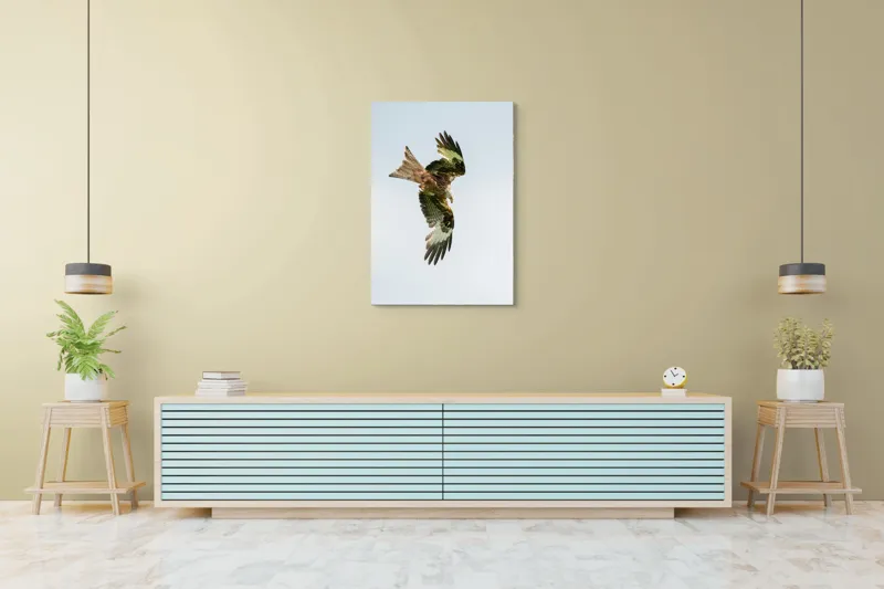 Tablou Canvas, "Zborul măreț al zmeului roșu", Aripi, Pene, Cer, Răpitor, Zbor, 70 x 100 cm – poza 5