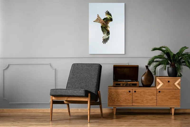 Tablou Canvas, "Zborul măreț al zmeului roșu", Aripi, Pene, Cer, Răpitor, Zbor, 70 x 100 cm – poza 6