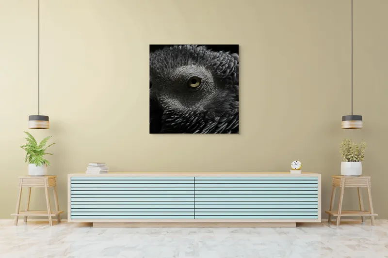 Tablou Canvas, "Privirea misterioasă a papagalului cenușiu", Pene, Textură, Ochi, Contrast, Intunecat, Detaliu, Focalizare, Misterios, 100 x 100 cm – poza 5