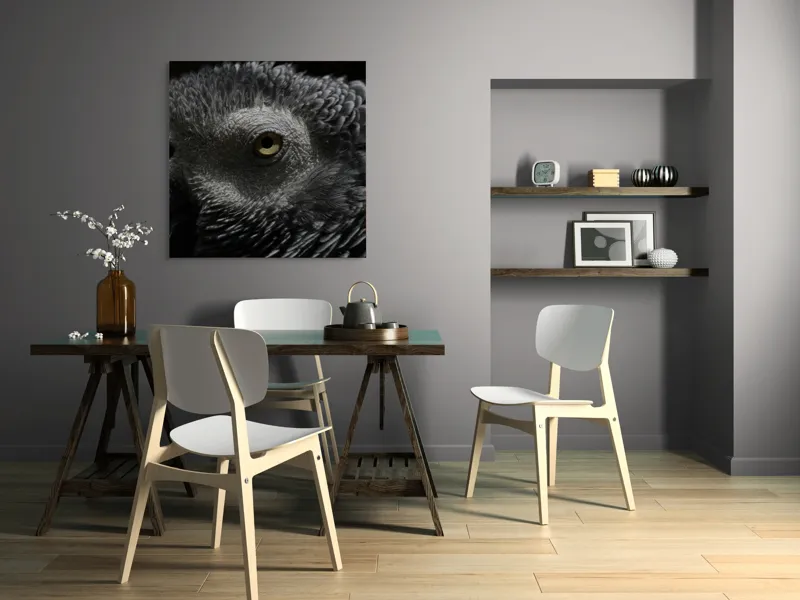 Tablou Canvas, "Privirea misterioasă a papagalului cenușiu", Pene, Textură, Ochi, Contrast, Intunecat, Detaliu, Focalizare, Misterios, 100 x 100 cm – poza 6