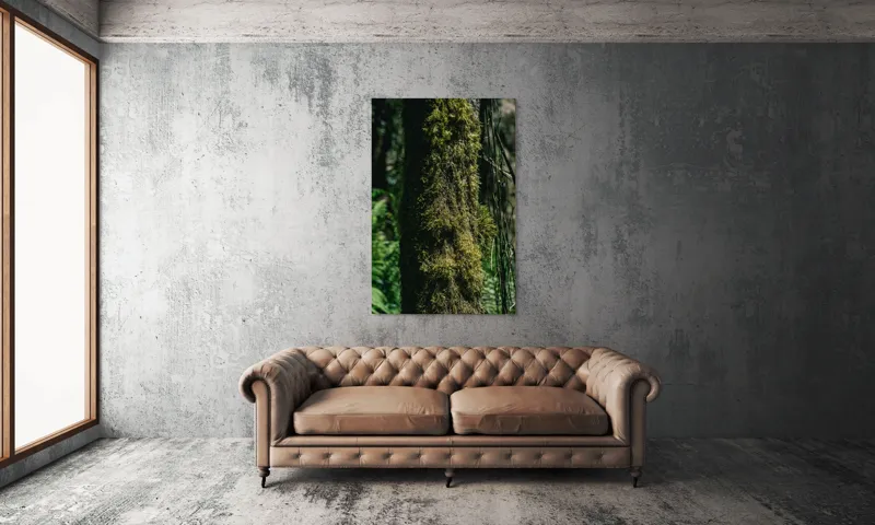 Tablou Canvas, "Trunchi acoperit de mușchi verde luxuriant", Mușchi, Trunchi, Pădure, Lumină, Umbre, Natură, Vegetație, Verde, Textură, Umiditate, 100 x 150 cm – poza 6