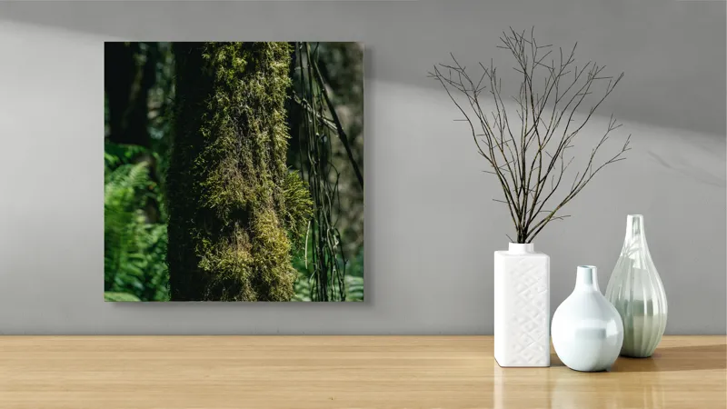 Tablou Canvas, "Trunchi acoperit de mușchi verde luxuriant", Mușchi, Trunchi, Pădure, Lumină, Umbre, Natură, Vegetație, Verde, Textură, Umiditate, 50 x 50 cm – poza 3