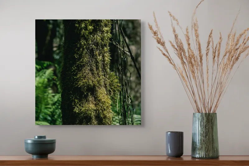 Tablou Canvas, "Trunchi acoperit de mușchi verde luxuriant", Mușchi, Trunchi, Pădure, Lumină, Umbre, Natură, Vegetație, Verde, Textură, Umiditate, 50 x 50 cm – poza 4