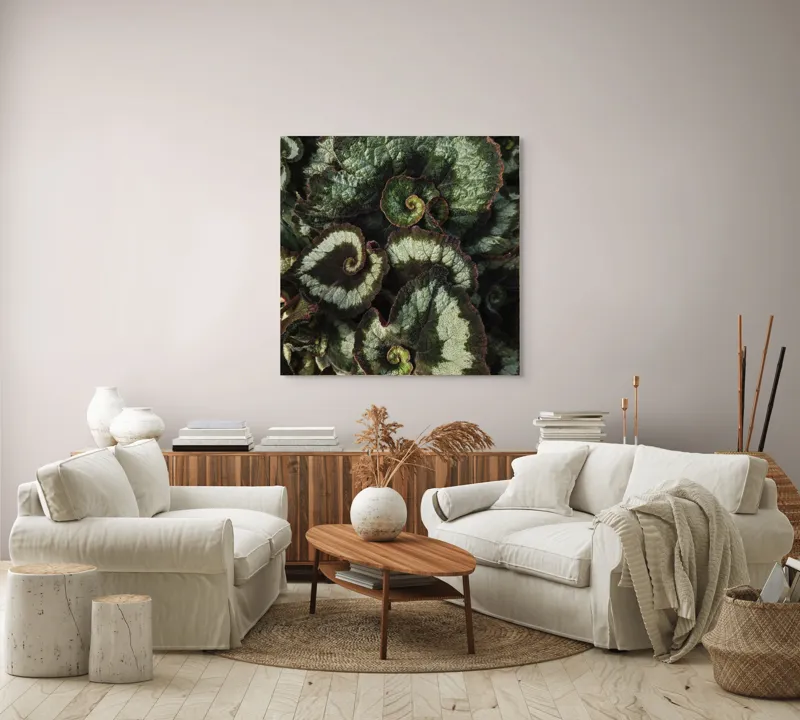 Tablou Canvas, "Frunzele spiralei naturale verzi și bordo", Frunze, Spirale, Verzi, Texturate, Marginite, Naturale, Vibrante, Detaliate, 100 x 100 cm – poza 3