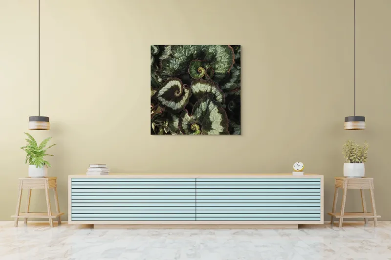 Tablou Canvas, "Frunzele spiralei naturale verzi și bordo", Frunze, Spirale, Verzi, Texturate, Marginite, Naturale, Vibrante, Detaliate, 100 x 100 cm – poza 5