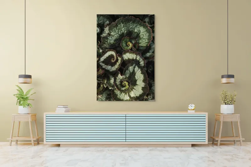 Tablou Canvas, "Frunzele spiralei naturale verzi și bordo", Frunze, Spirale, Verzi, Texturate, Marginite, Naturale, Vibrante, Detaliate, 100 x 150 cm – poza 4