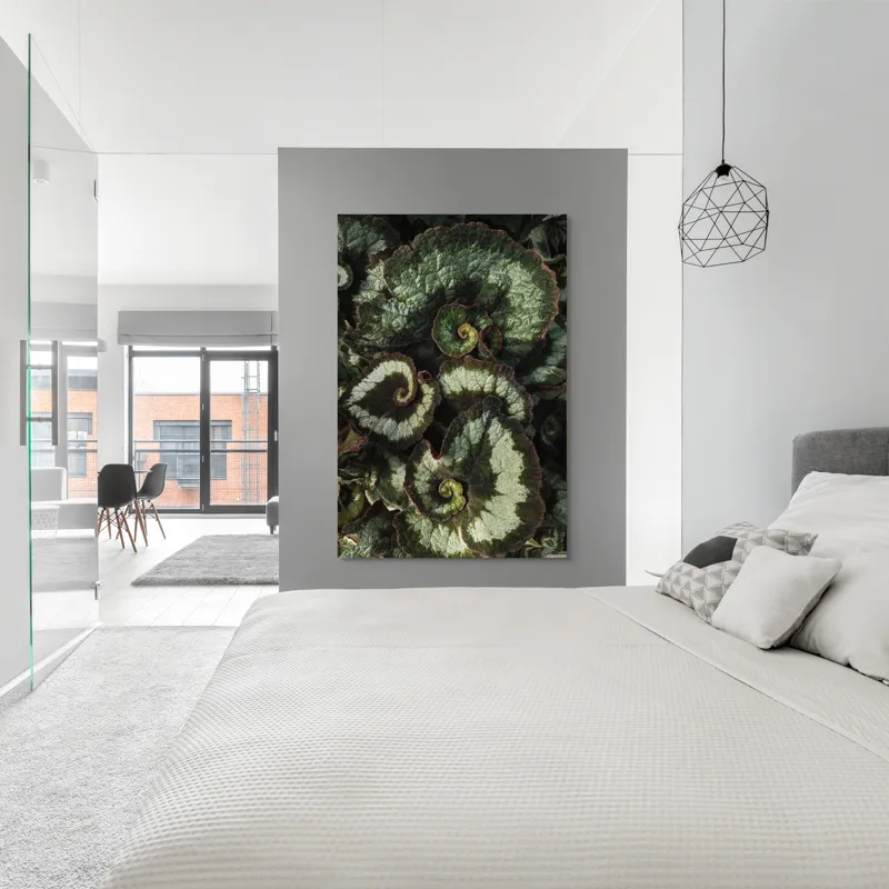 Tablou Canvas, "Frunzele spiralei naturale verzi și bordo", Frunze, Spirale, Verzi, Texturate, Marginite, Naturale, Vibrante, Detaliate, 100 x 150 cm – poza 5
