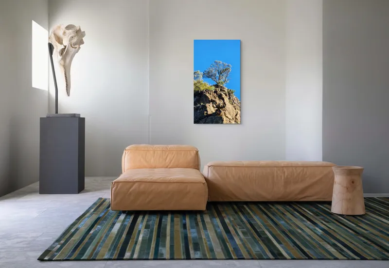 Tablou Canvas Arbore Solitar pe Stâncă Multicolor, 50 x 90 cm – poza 5