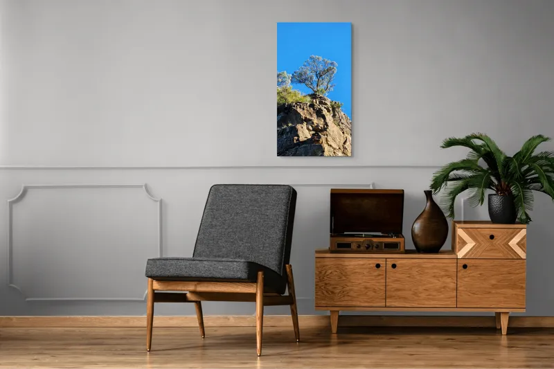 Tablou Canvas Arbore Solitar pe Stâncă Multicolor, 50 x 90 cm – poza 8