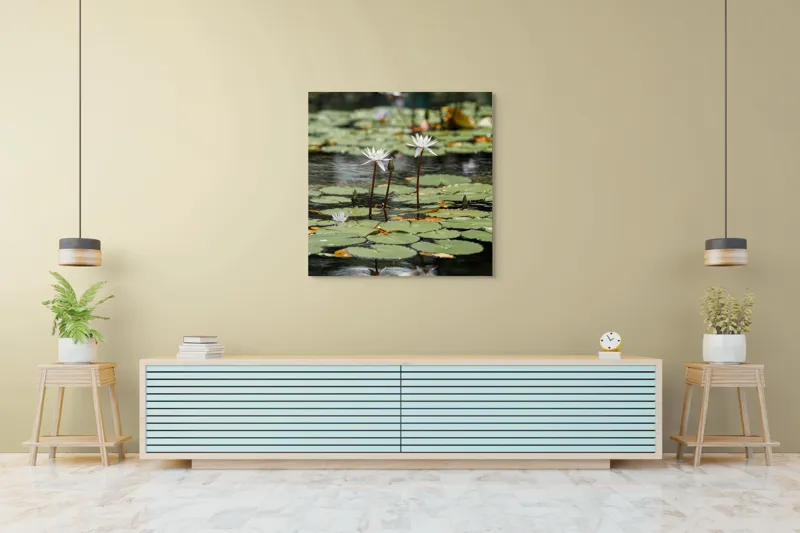 Tablou Canvas, "Nufăr în oglinda apei calme", Flori, Nufăr, Apă, Frunziș, Reflecție, Liniște, Natură, Delicatețe, 100 x 100 cm – poza 5