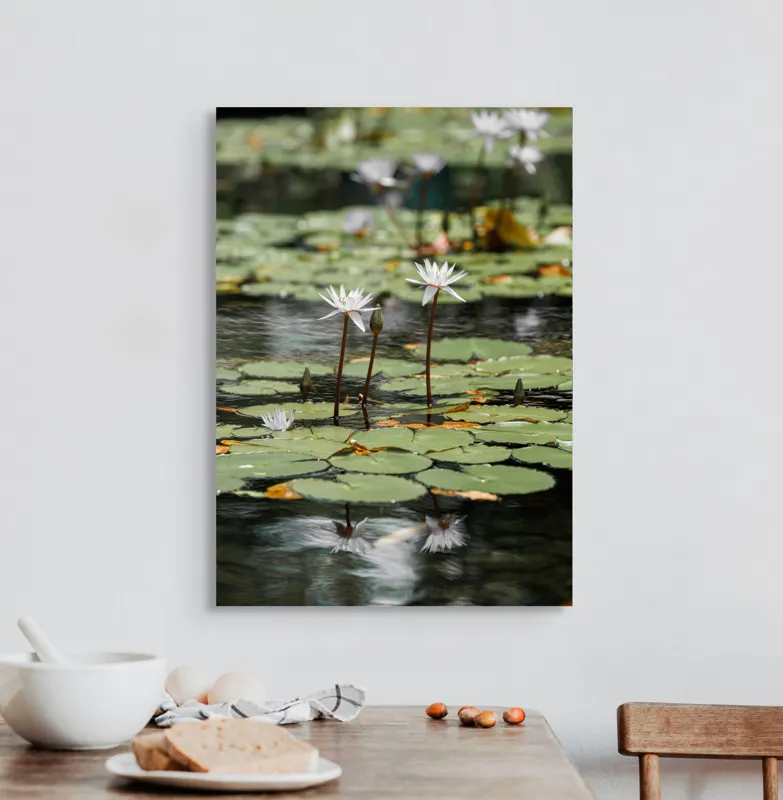 Tablou Canvas, "Nufăr în oglinda apei calme", Flori, Nufăr, Apă, Frunziș, Reflecție, Liniște, Natură, Delicatețe, 50 x 70 cm – poza 3
