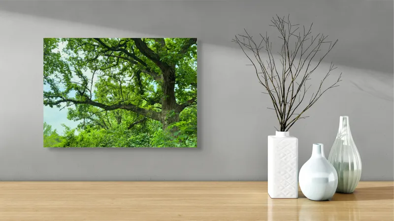 Tablou Canvas, "Umbre verzi sub ramuri bătrâne", Copac, Frunziș, Verdeață, Cer, Natură, Ramuri, Pădure, Variație, Umbre, Vitalitate, 54 x 39 cm – poza 3