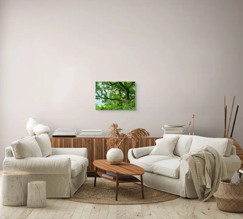 Tablou Canvas, "Umbre verzi sub ramuri bătrâne", Copac, Frunziș, Verdeață, Cer, Natură, Ramuri, Pădure, Variație, Umbre, Vitalitate, 54 x 39 cm – poza 5