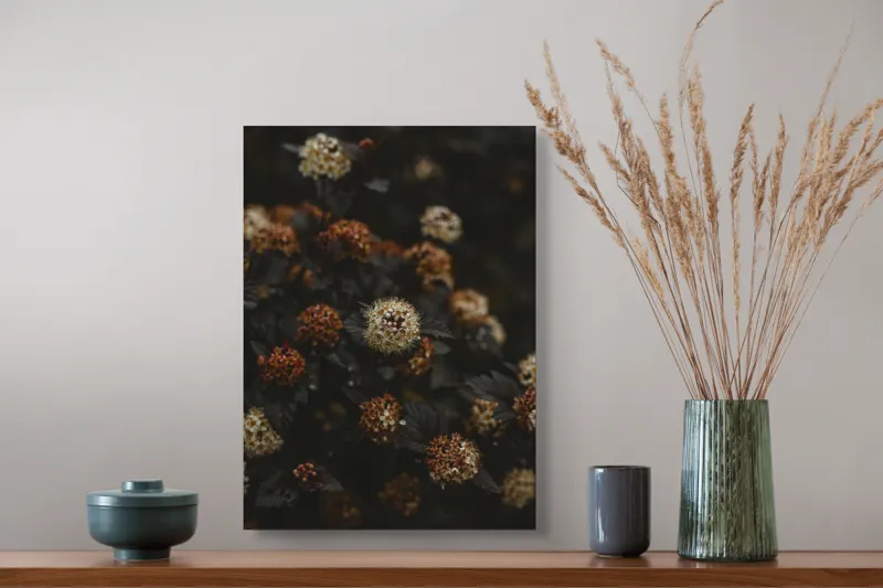 Tablou Canvas, "Flori misterioase în amurg tomnatic", Flori, Întunecate, Texturate, Contrastante, Ruginite, Bogate, Sferice, 39 x 54 cm – poza 3
