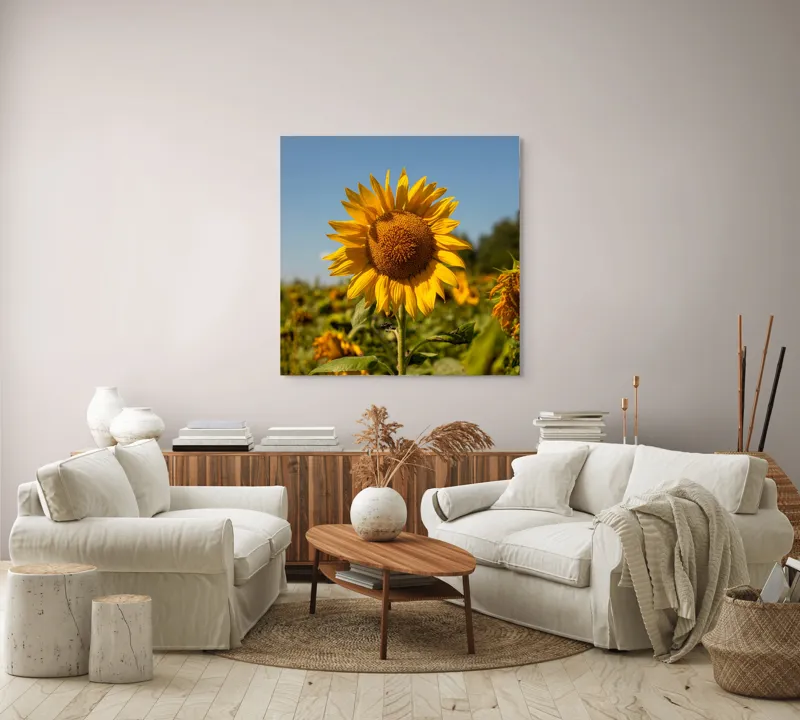 Tablou Canvas, "Floarea soarelui sub cerul albastru", Floare, Galben, Strălucire, Cer, Soare, Frunze, Frumusețe, Natură, Intensitate, Bucurie, 100 x 100 cm – poza 3
