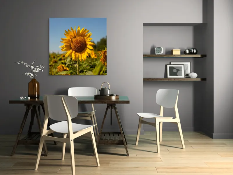 Tablou Canvas, "Floarea soarelui sub cerul albastru", Floare, Galben, Strălucire, Cer, Soare, Frunze, Frumusețe, Natură, Intensitate, Bucurie, 100 x 100 cm – poza 6