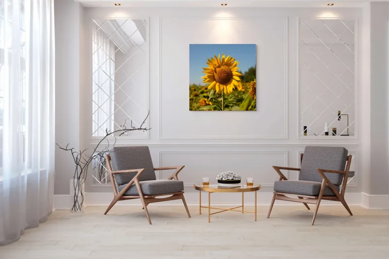 Tablou Canvas, "Floarea soarelui sub cerul albastru", Floare, Galben, Strălucire, Cer, Soare, Frunze, Frumusețe, Natură, Intensitate, Bucurie, 100 x 100 cm – poza 7