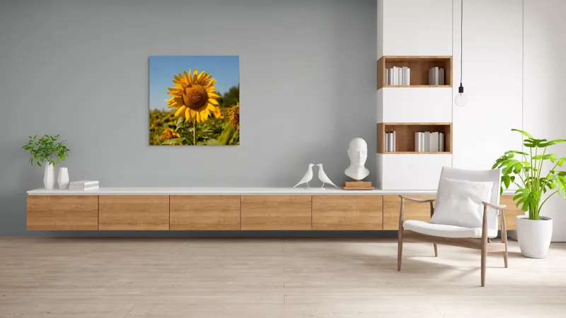 Tablou Canvas, "Floarea soarelui sub cerul albastru", Floare, Galben, Strălucire, Cer, Soare, Frunze, Frumusețe, Natură, Intensitate, Bucurie, 100 x 100 cm – poza 8