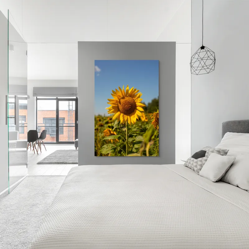Tablou Canvas, "Floarea soarelui sub cerul albastru", Floare, Galben, Strălucire, Cer, Soare, Frunze, Frumusețe, Natură, Intensitate, Bucurie, 100 x 150 cm – poza 5