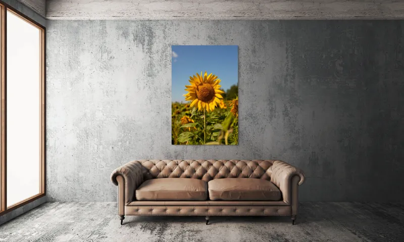 Tablou Canvas, "Floarea soarelui sub cerul albastru", Floare, Galben, Strălucire, Cer, Soare, Frunze, Frumusețe, Natură, Intensitate, Bucurie, 100 x 150 cm – poza 6
