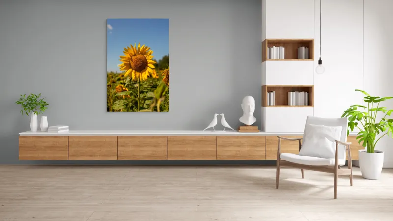 Tablou Canvas, "Floarea soarelui sub cerul albastru", Floare, Galben, Strălucire, Cer, Soare, Frunze, Frumusețe, Natură, Intensitate, Bucurie, 100 x 150 cm – poza 8