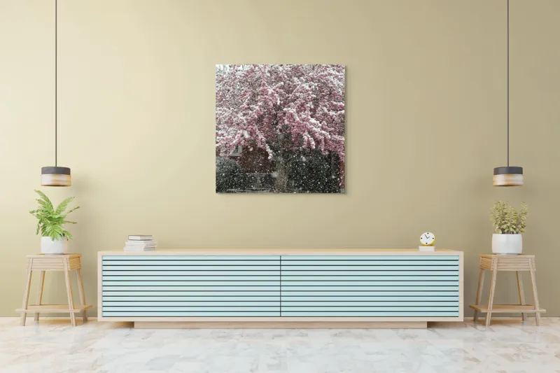 Tablou Canvas, "Primăvară învelită în zăpadă albă", Zăpadă, Flori, Copac, Primăvară, Contraste, Natură, Frumusețe, Delicatețe, Vreme, Schimbare, 100 x 100 cm – poza 5