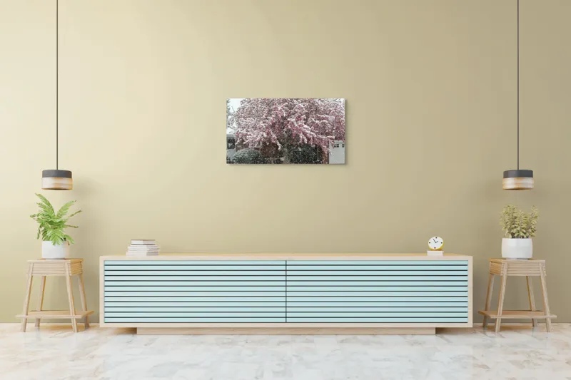 Tablou Canvas, "Primăvară învelită în zăpadă albă", Zăpadă, Flori, Copac, Primăvară, Contraste, Natură, Frumusețe, Delicatețe, Vreme, Schimbare, 90 x 50 cm – poza 5