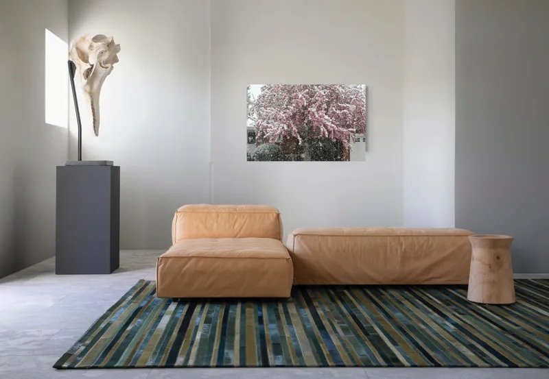 Tablou Canvas, "Primăvară învelită în zăpadă albă", Zăpadă, Flori, Copac, Primăvară, Contraste, Natură, Frumusețe, Delicatețe, Vreme, Schimbare, 90 x 50 cm – poza 8