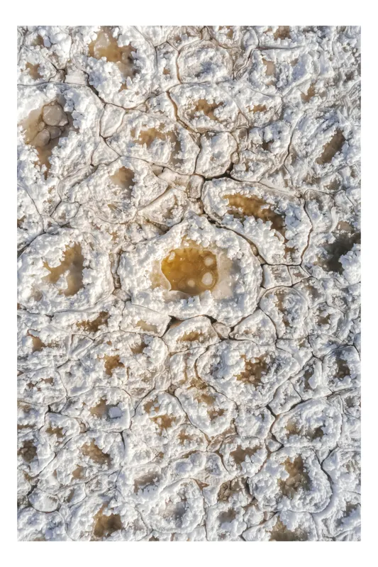 Tablou Canvas, "Minunățiile iernii în detaliu fragil", Cristale, Textură, Albul, Geometrie, Mineral., 39 x 54 cm