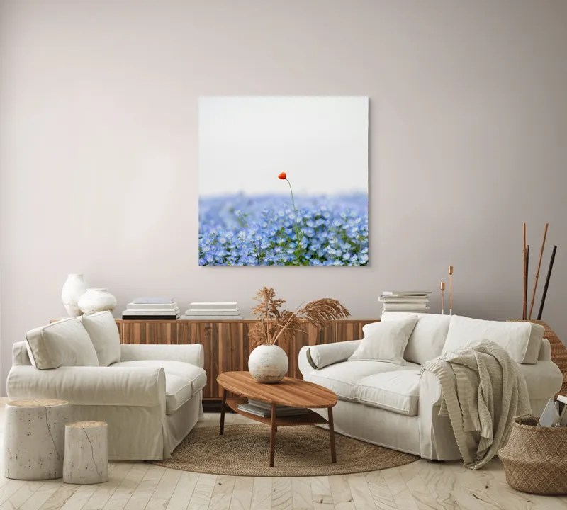 Tablou Canvas, "Floarea roșie într-un ocean albastru", Floare, Solitară, Roșie, Contrast, Albastru, Câmp, Delicat, Natură, Frumusețe, Seninătate., 100 x 100 cm – poza 3