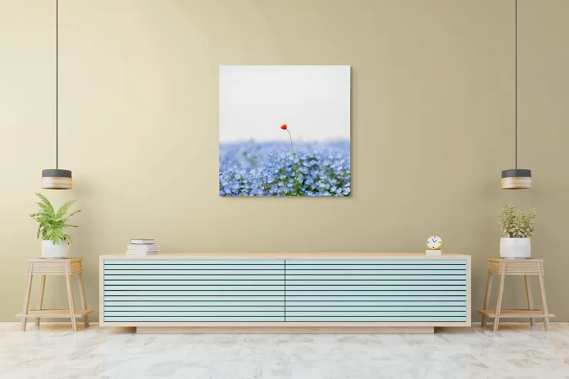 Tablou Canvas, "Floarea roșie într-un ocean albastru", Floare, Solitară, Roșie, Contrast, Albastru, Câmp, Delicat, Natură, Frumusețe, Seninătate., 100 x 100 cm – poza 5