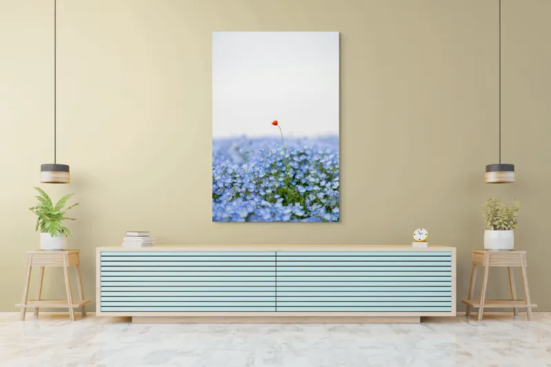 Tablou Canvas, "Floarea roșie într-un ocean albastru", Floare, Solitară, Roșie, Contrast, Albastru, Câmp, Delicat, Natură, Frumusețe, Seninătate., 100 x 150 cm – poza 4