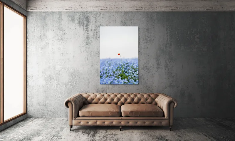 Tablou Canvas, "Floarea roșie într-un ocean albastru", Floare, Solitară, Roșie, Contrast, Albastru, Câmp, Delicat, Natură, Frumusețe, Seninătate., 100 x 150 cm – poza 6