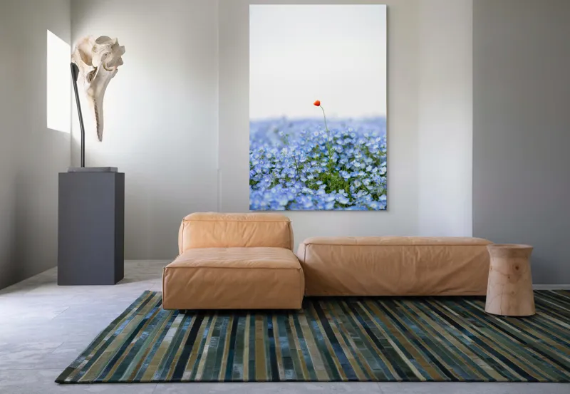 Tablou Canvas, "Floarea roșie într-un ocean albastru", Floare, Solitară, Roșie, Contrast, Albastru, Câmp, Delicat, Natură, Frumusețe, Seninătate., 100 x 150 cm – poza 7