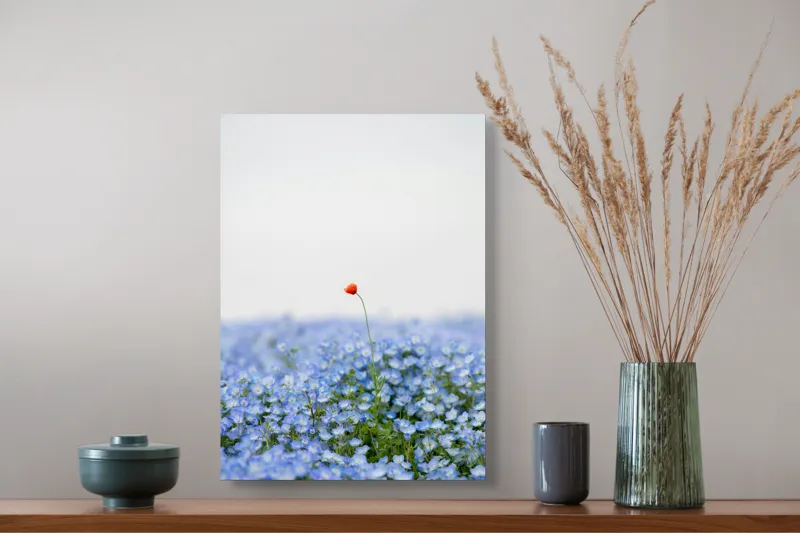 Tablou Canvas, "Floarea roșie într-un ocean albastru", Floare, Solitară, Roșie, Contrast, Albastru, Câmp, Delicat, Natură, Frumusețe, Seninătate., 39 x 54 cm – poza 3
