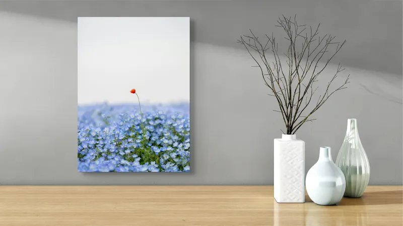 Tablou Canvas, "Floarea roșie într-un ocean albastru", Floare, Solitară, Roșie, Contrast, Albastru, Câmp, Delicat, Natură, Frumusețe, Seninătate., 39 x 54 cm – poza 4