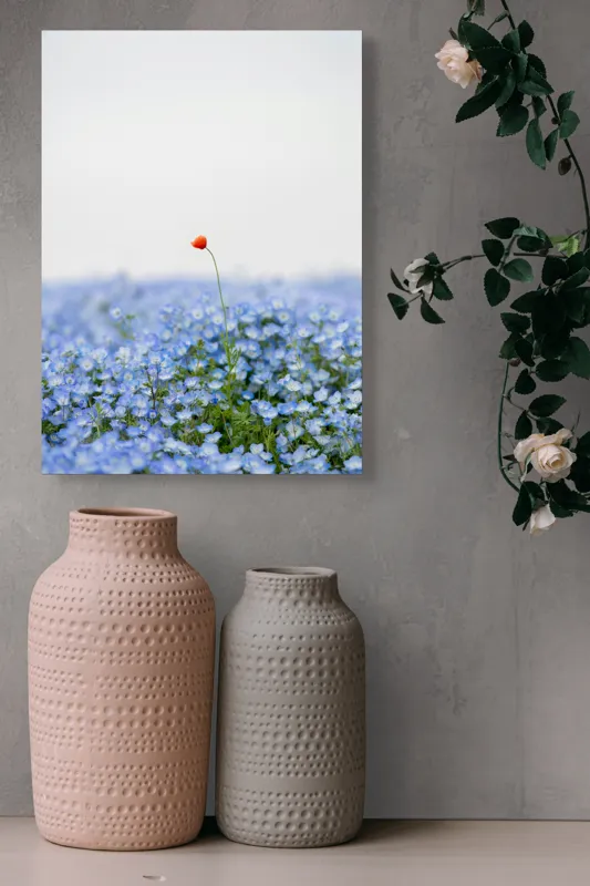 Tablou Canvas, "Floarea roșie într-un ocean albastru", Floare, Solitară, Roșie, Contrast, Albastru, Câmp, Delicat, Natură, Frumusețe, Seninătate., 39 x 54 cm – poza 6