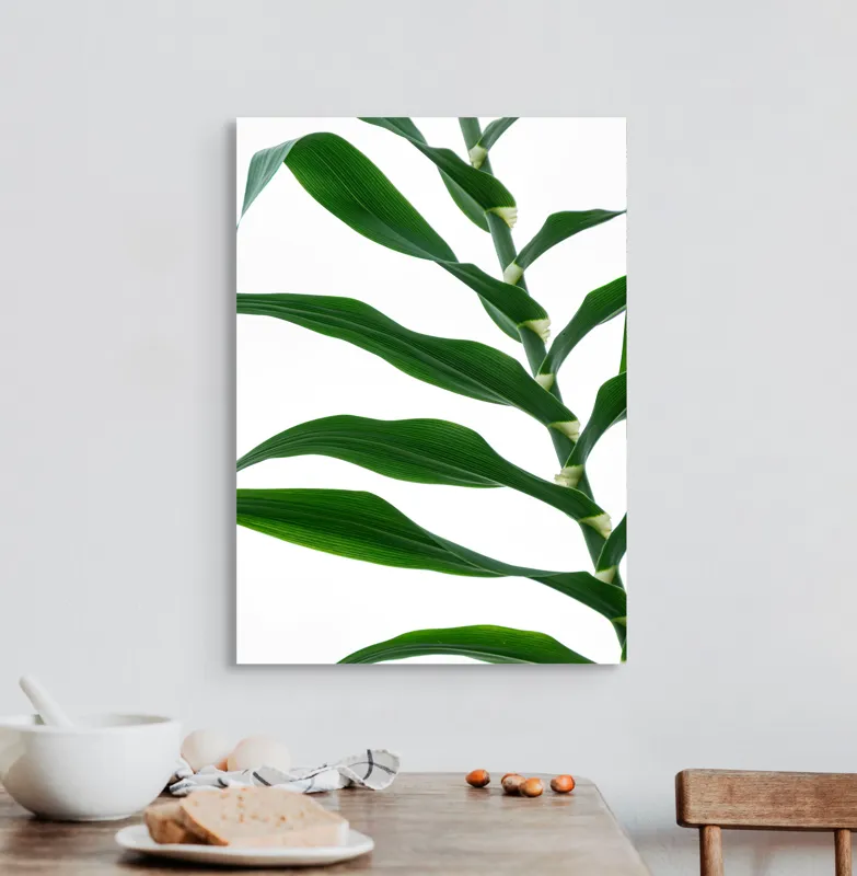 Tablou Canvas, "Frunze de trestie unduitoare în vânt", Frunze, Verde, Linie, Elegant, Contrast, Delicat, Natură, Simplitate, 50 x 70 cm – poza 3
