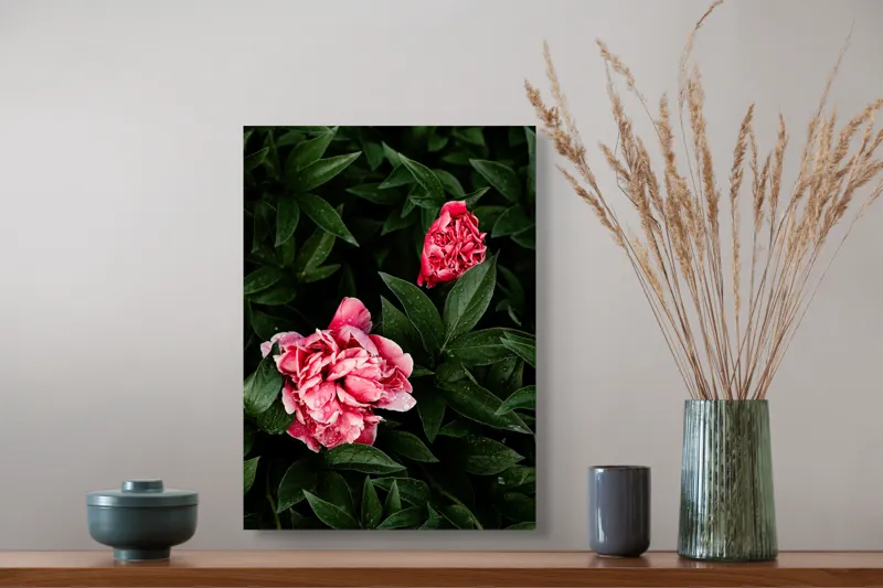 Tablou Canvas, "Plante și flori după ploaie", Flori, Frunze, Picături, Verde, Roz, Boboc, Proaspete, Umbră, Textură, Naturaleţe, 39 x 54 cm – poza 3
