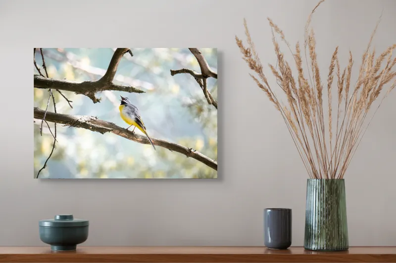 Tablou Canvas, "Măiastra cântecelor în crângul verde", Pasăre, Crengi, Cântând, Pădure, Penaj, Galben, Gri, Natură, Lumină, Ambient., 54 x 39 cm – poza 4