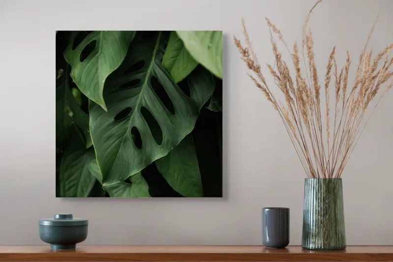 Tablou Canvas, "Frumusețea misterului vegetal luxuriant", Frunze, Verde, Monstera, Textură, Umbre, Natură, Luxuriant, Exotic, Organic, Vegetație, 50 x 50 cm – poza 4
