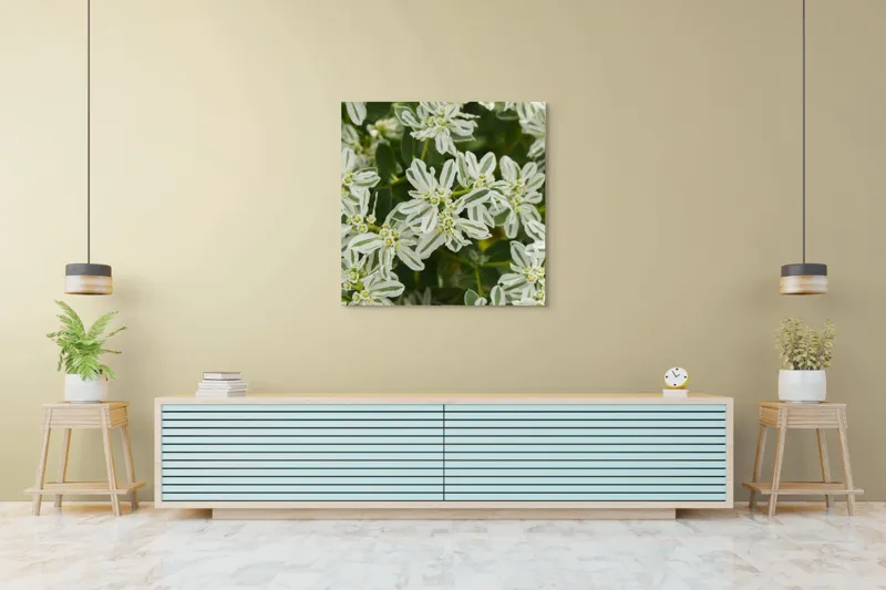 Tablou Canvas, "Flori de lapte în grădină luxuriantă", 100 x 100 cm – poza 5