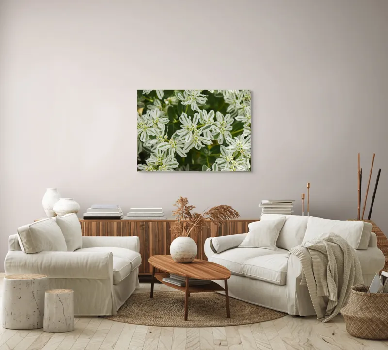 Tablou Canvas, "Flori de lapte în grădină luxuriantă", 100 x 70 cm – poza 3