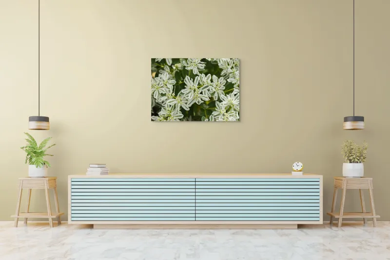 Tablou Canvas, "Flori de lapte în grădină luxuriantă", 100 x 70 cm – poza 4