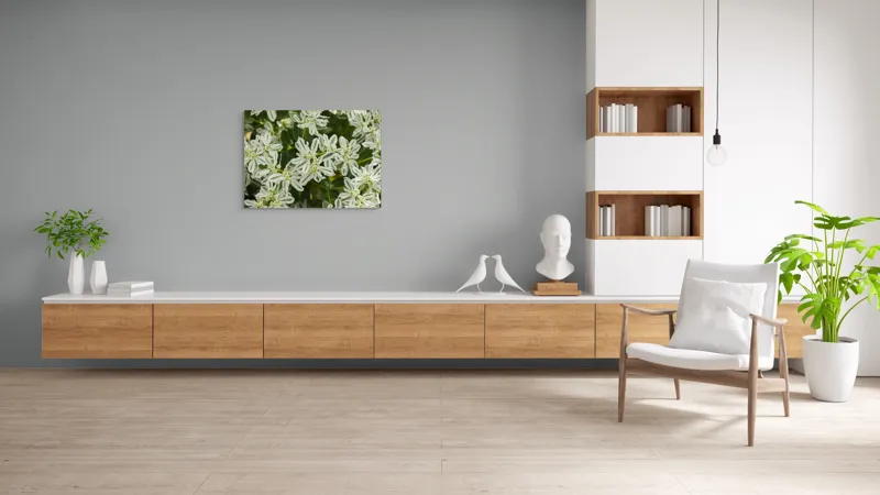 Tablou Canvas, "Flori de lapte în grădină luxuriantă", 100 x 70 cm – poza 6