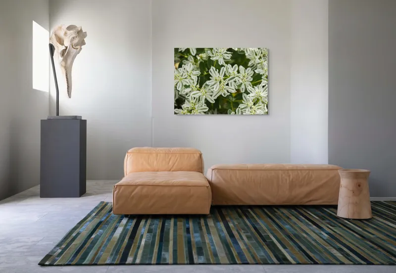 Tablou Canvas, "Flori de lapte în grădină luxuriantă", 100 x 70 cm – poza 7