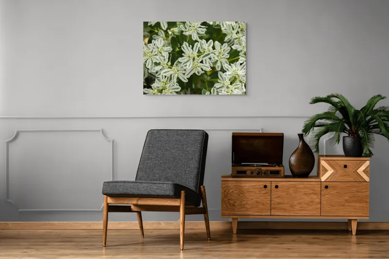 Tablou Canvas, "Flori de lapte în grădină luxuriantă", 100 x 70 cm – poza 8