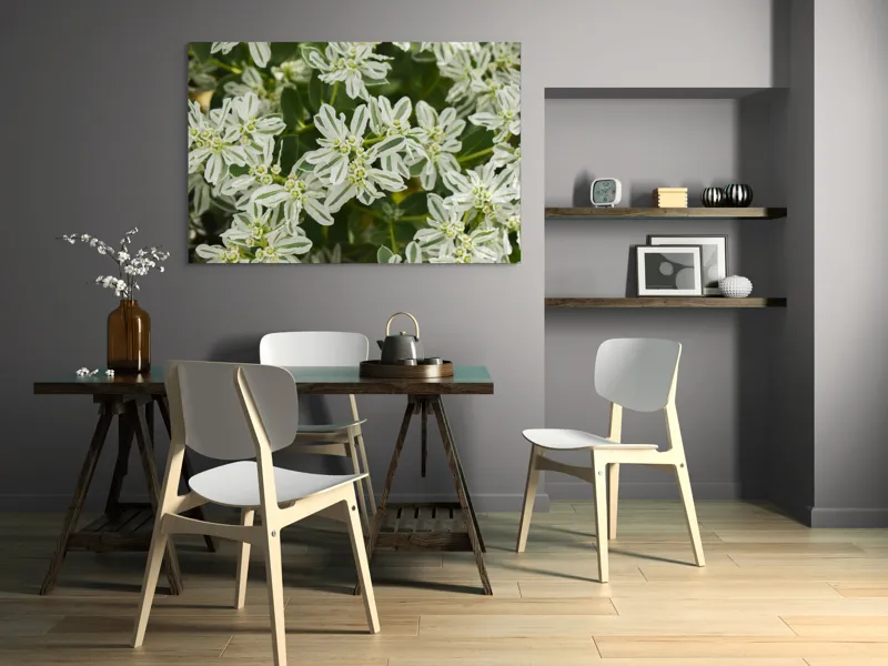 Tablou Canvas, "Flori de lapte în grădină luxuriantă", Nu pot identifica plante sau flori din imagini., 150 x 100 cm – poza 5