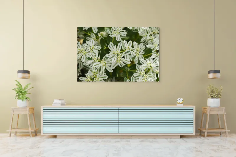 Tablou Canvas, "Flori de lapte în grădină luxuriantă", Nu pot identifica plante sau flori din imagini., 150 x 100 cm – poza 6